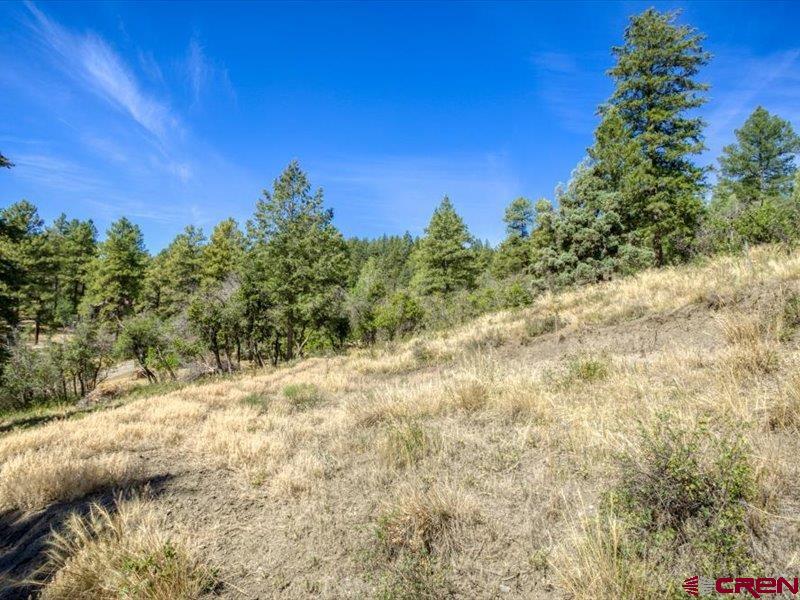 27 D Place Property Photo 6