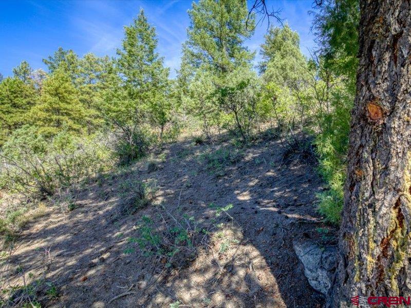 27 D Place Property Photo 10