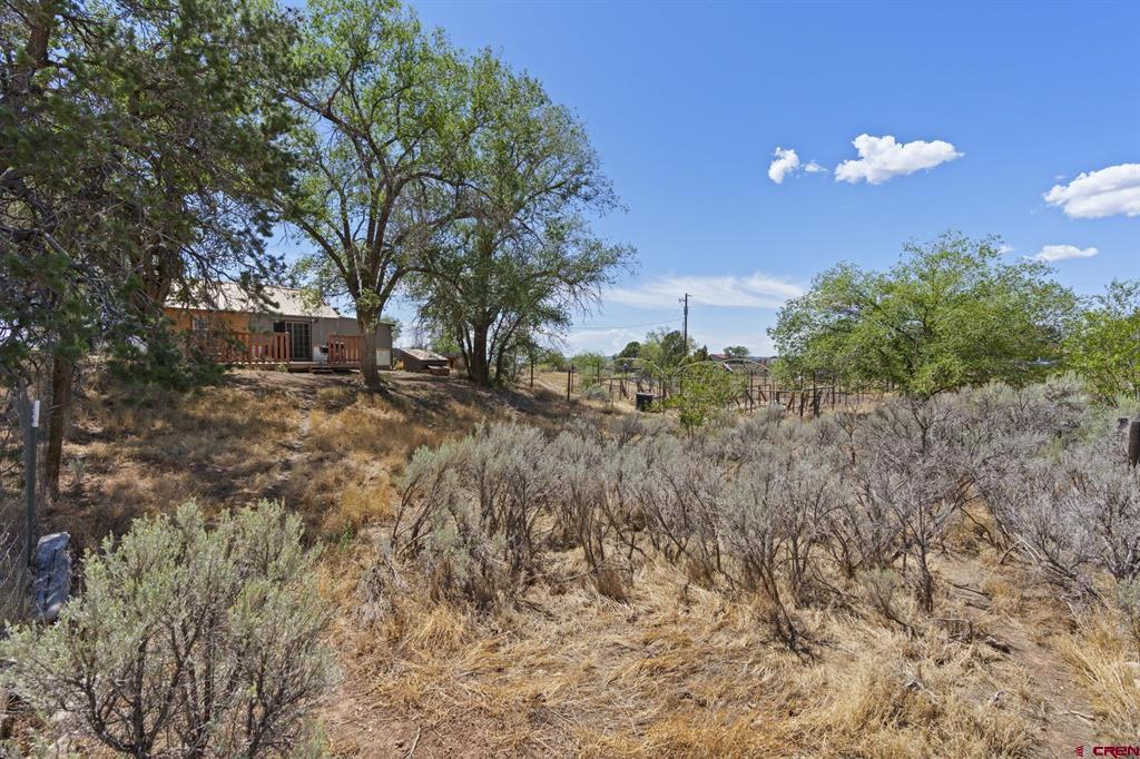 63 County Road 133d Property Photo 29