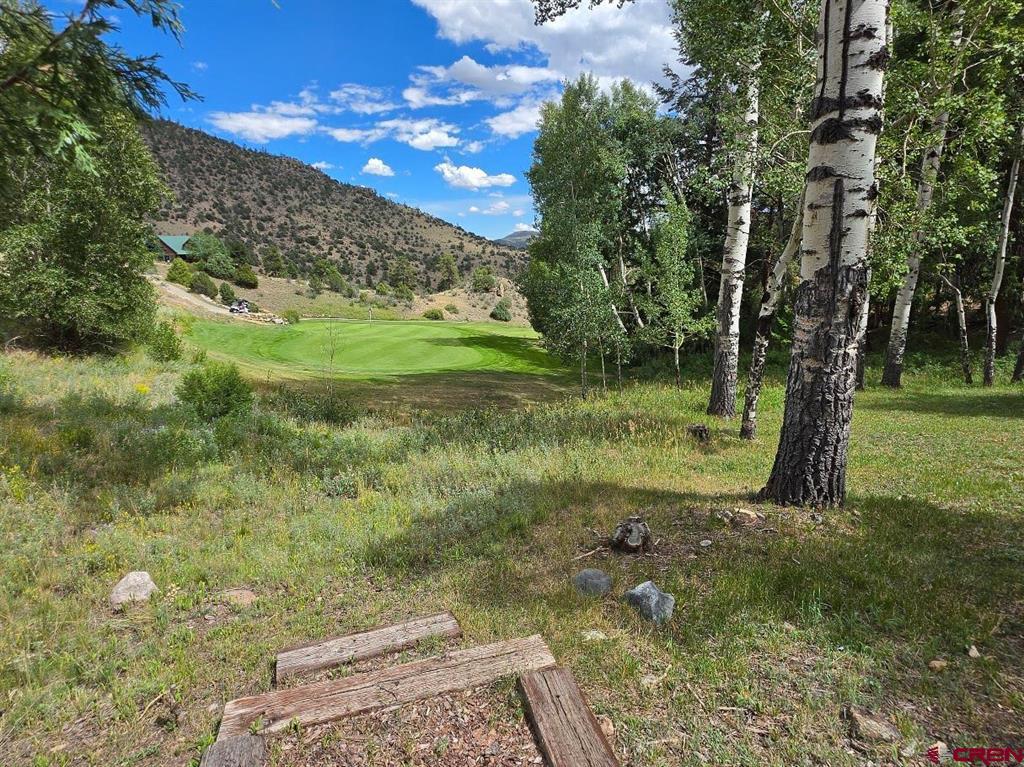 254 Timberline Trail Property Photo 38