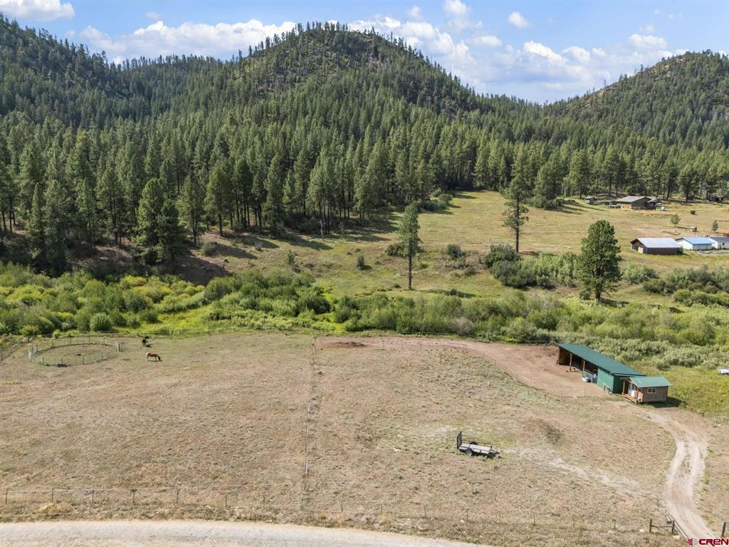 1645 Bear Creek Road Property Photo 40