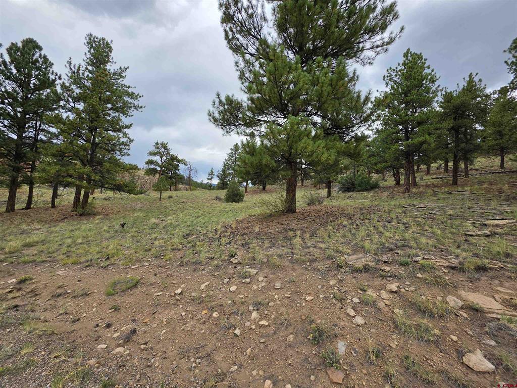 511 Church Creek Drive Property Photo 26