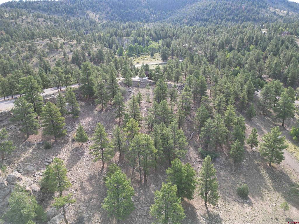 511 Church Creek Drive Property Photo 37