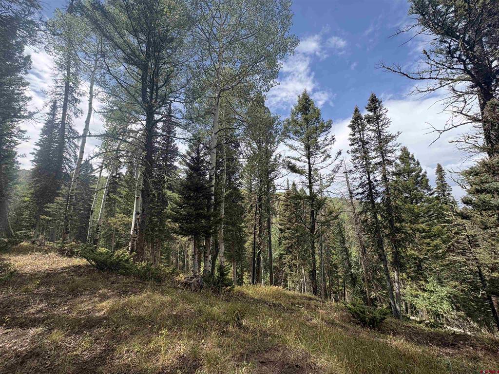 425 Rim Road Property Photo 1