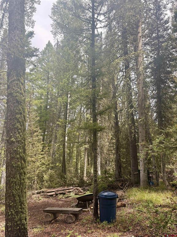 425 Rim Road Property Photo 2