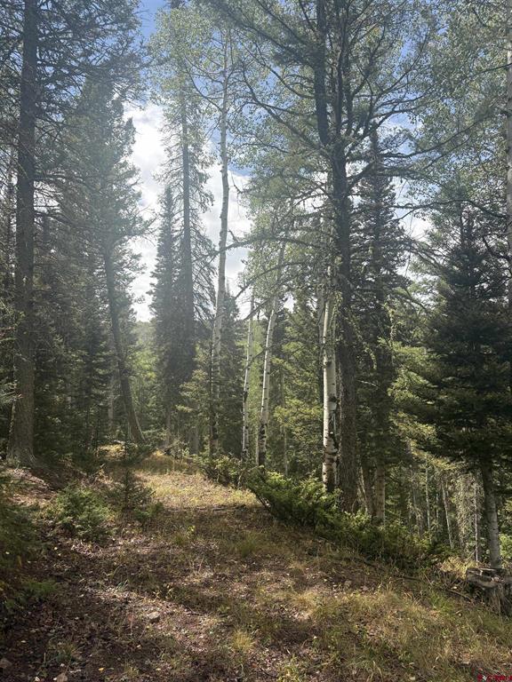 425 Rim Road Property Photo 3