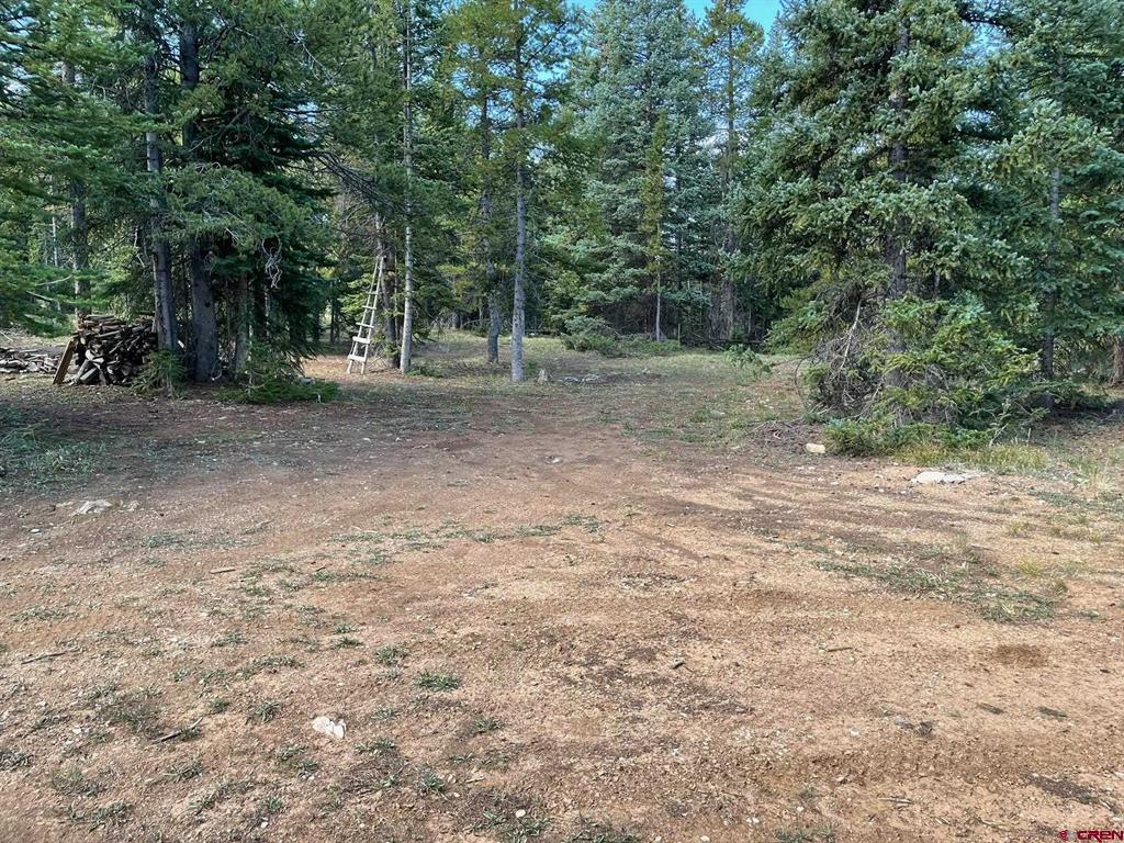 Tbd Lime Cliff Drive Property Photo 8
