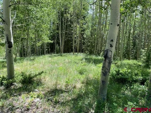 Tbd Grasshopper Road Property Photo 1