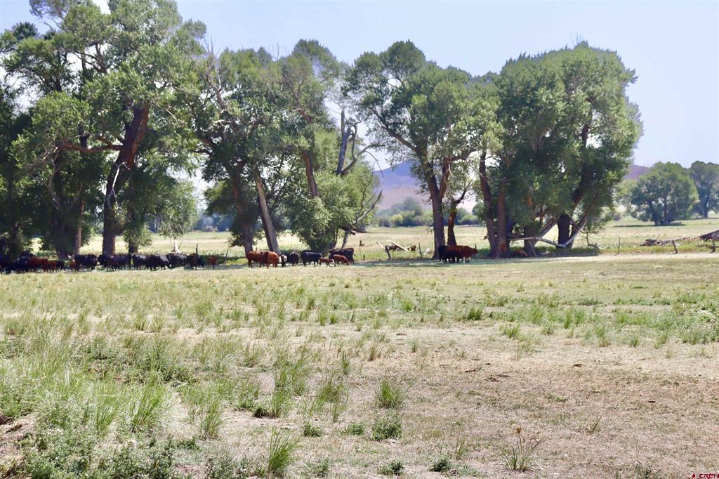 Tbd Co Rd 14a Property Photo 2
