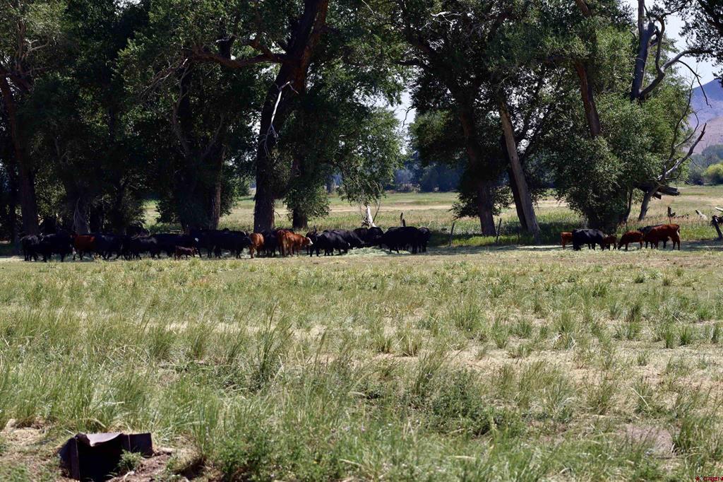 Tbd Co Rd 14a Property Photo 13