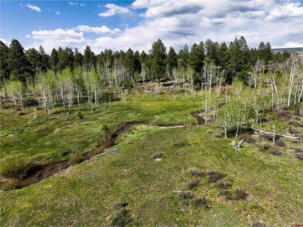 44500 Ditches Road Property Photo 13