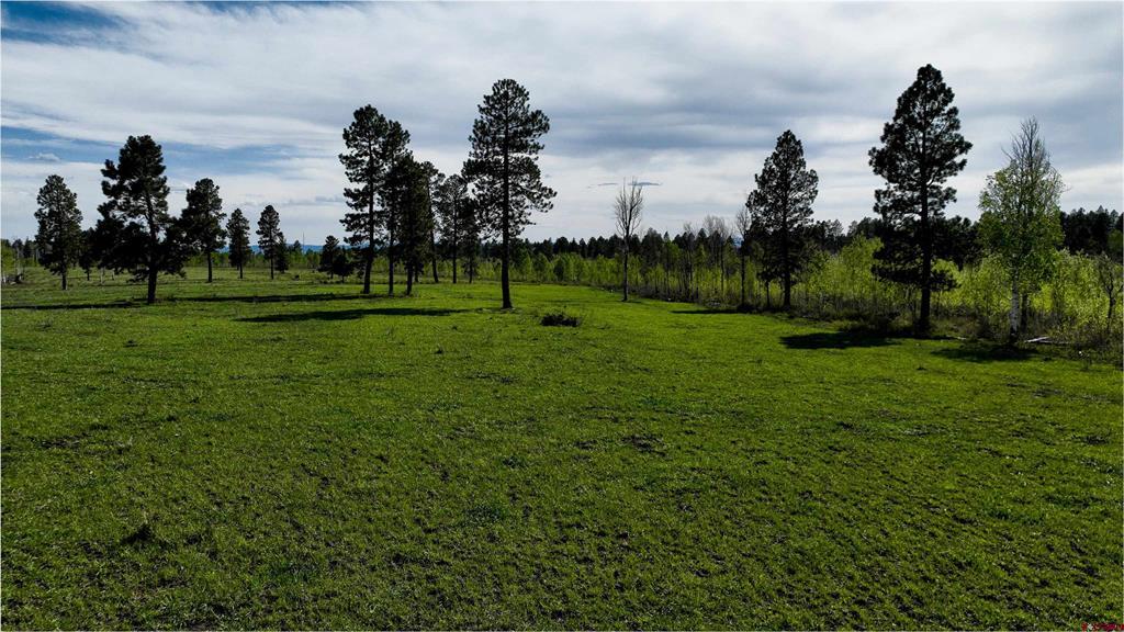 44500 Ditches Road Property Photo 17