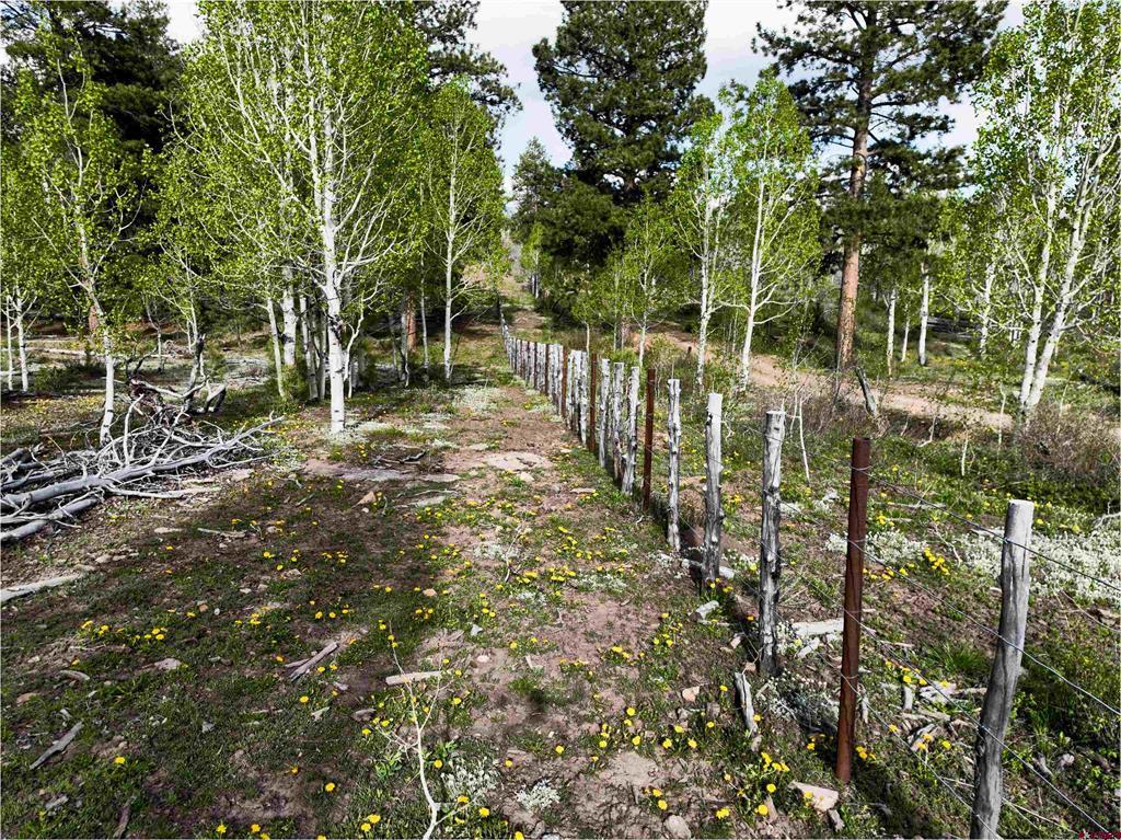 44500 Ditches Road Property Photo 23