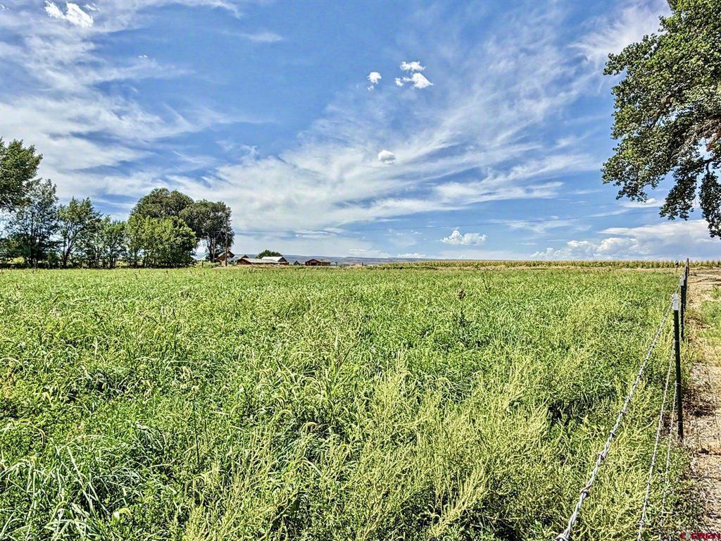 3442 5400 Road Property Photo 44