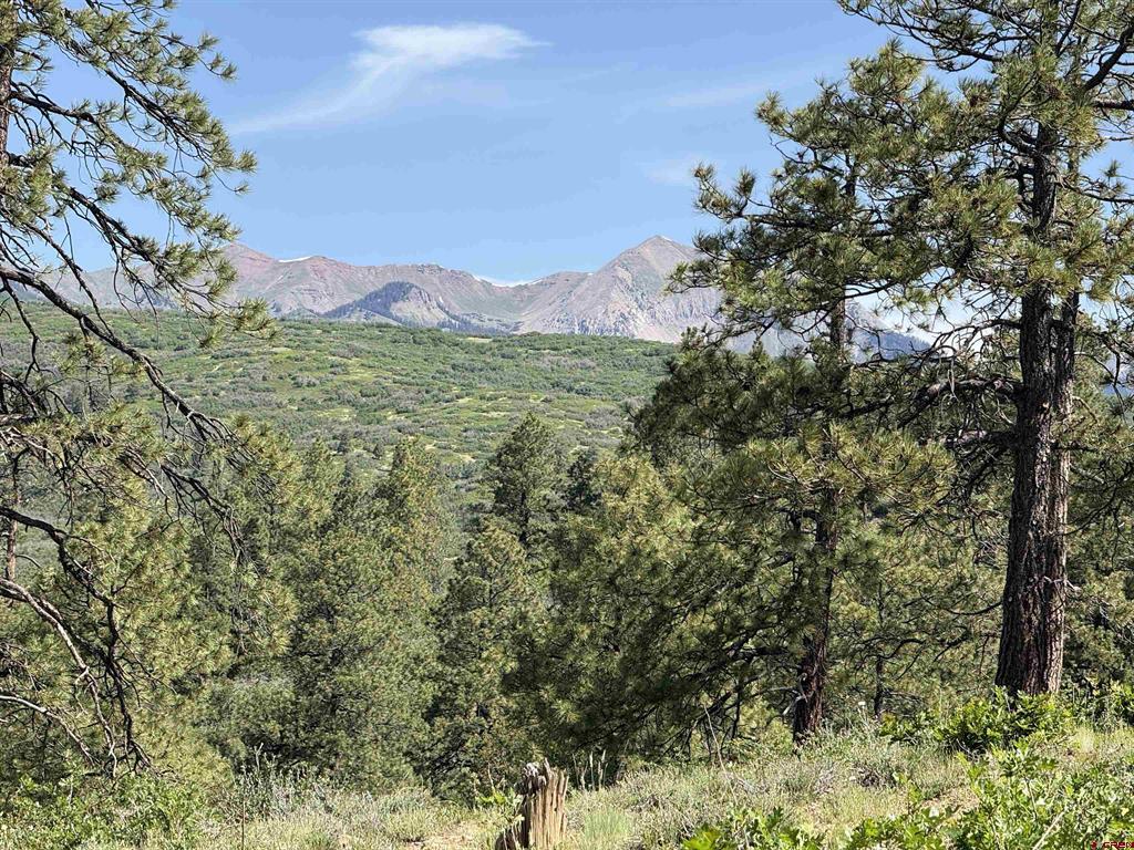 1649 Sheep Springs Road Property Photo 1