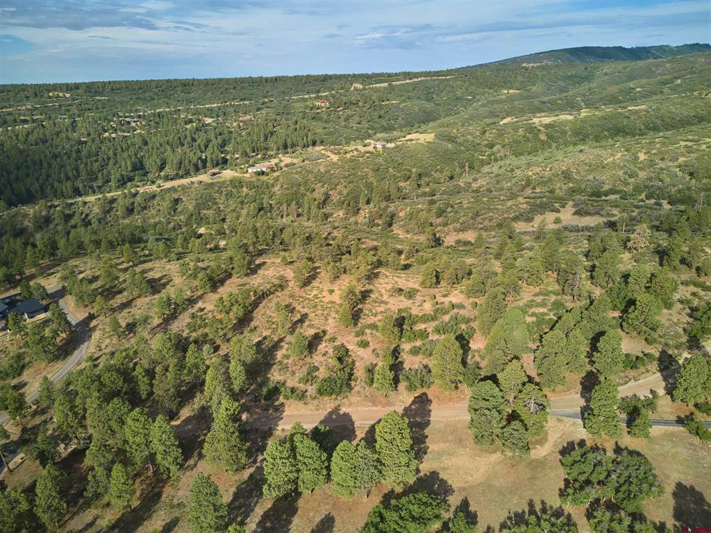 1649 Sheep Springs Road Property Photo 3