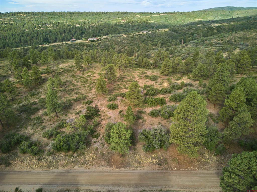 1649 Sheep Springs Road Property Photo 4