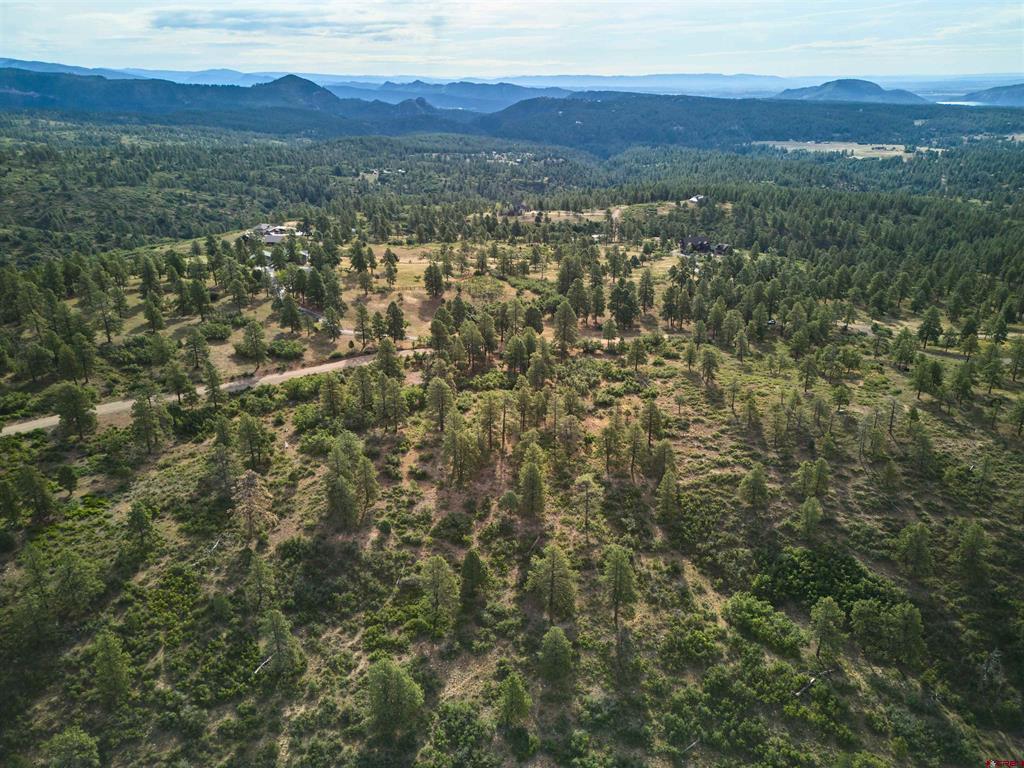 1649 Sheep Springs Road Property Photo 5