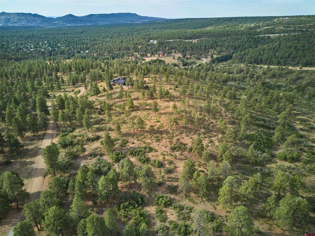 1649 Sheep Springs Road Property Photo 6