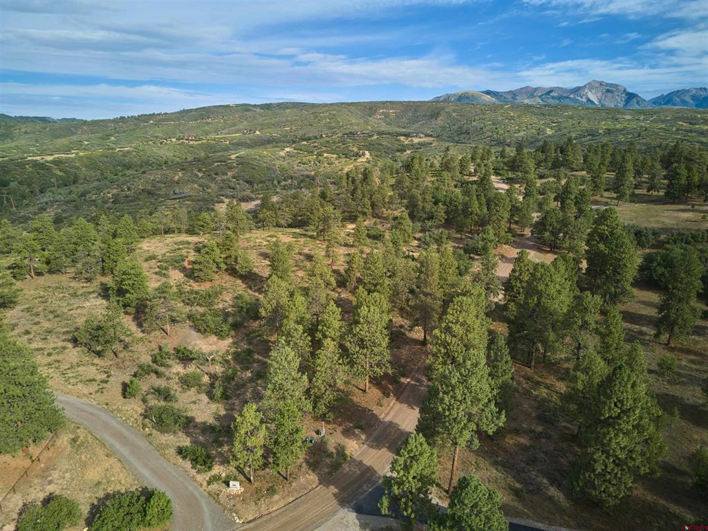 1649 Sheep Springs Road Property Photo 7