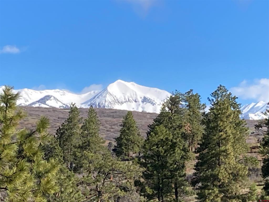 1649 Sheep Springs Road Property Photo 8
