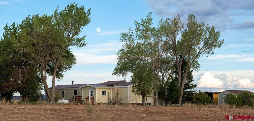 3771 County Road 131