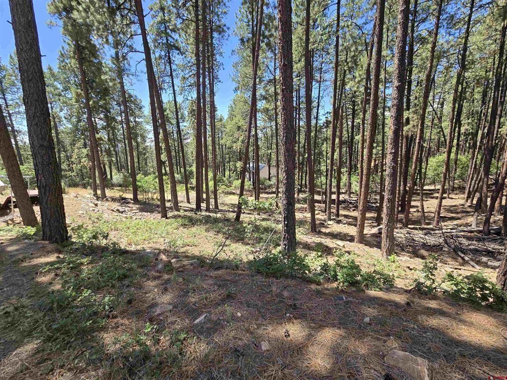 456 Valley View Dr Property Photo 25