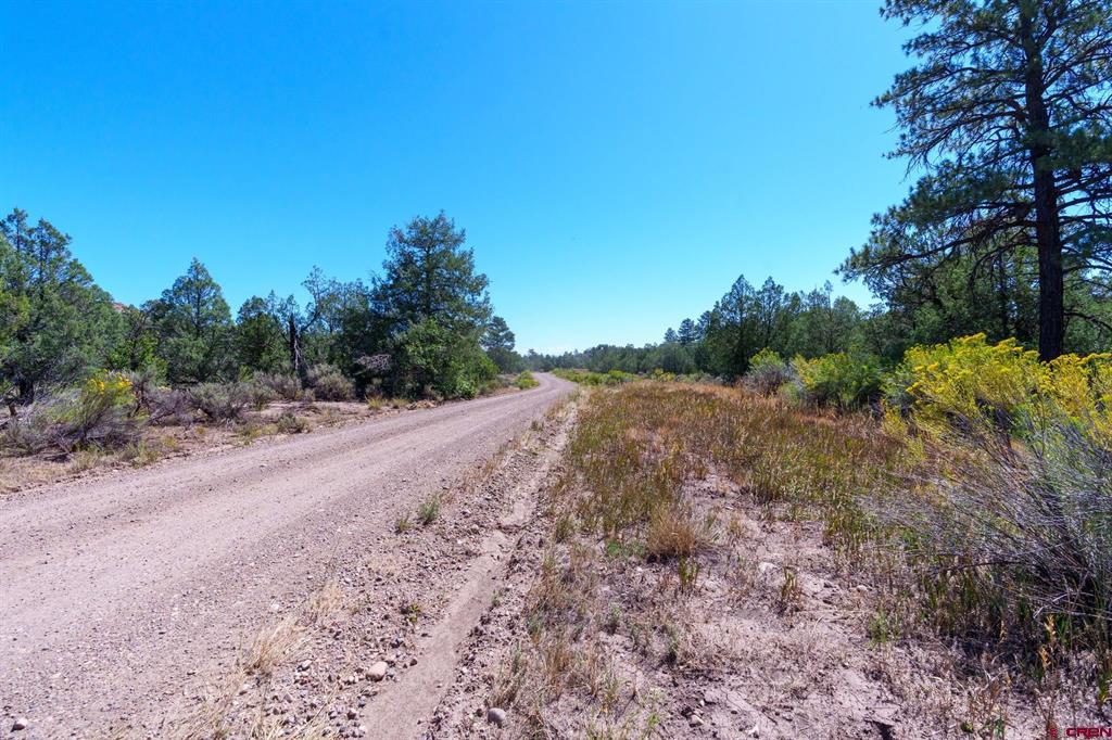 Tbd Budd Road Property Photo 1