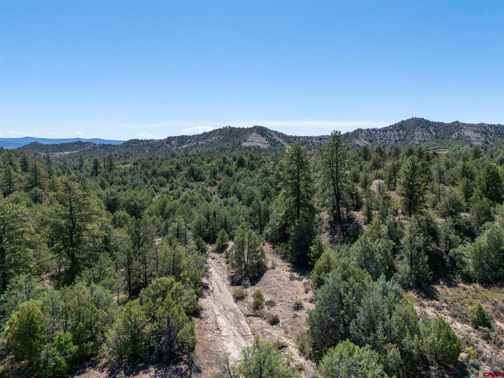 Tbd Budd Road Property Photo 2