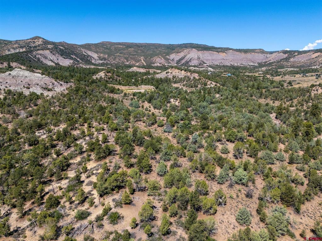 Tbd Budd Road Property Photo 3