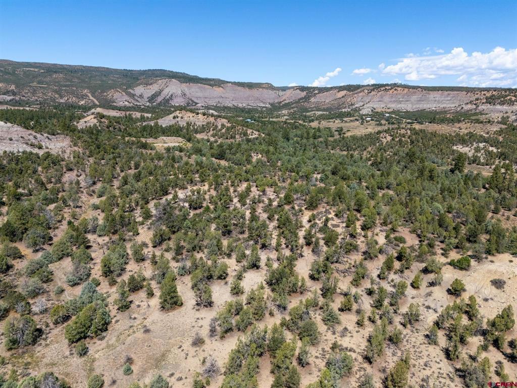Tbd Budd Road Property Photo 4