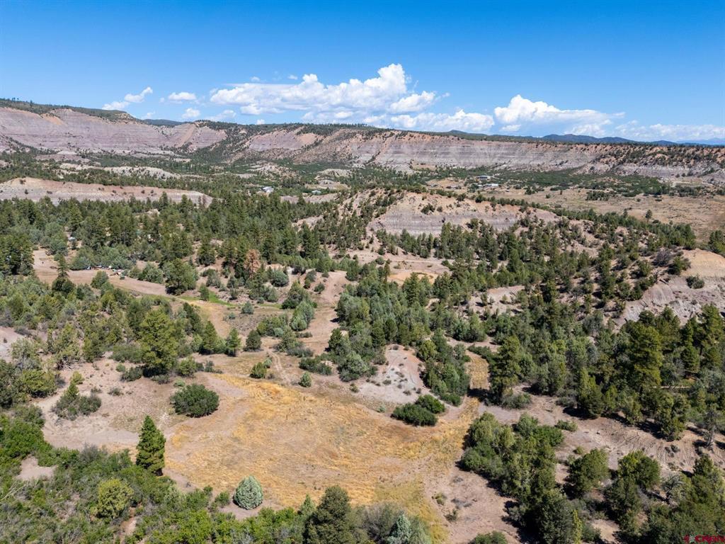 Tbd Budd Road Property Photo 6