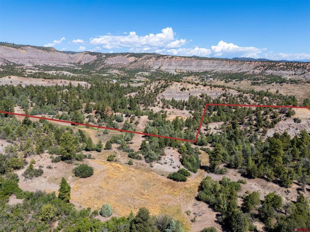 Tbd Budd Road Property Photo 7