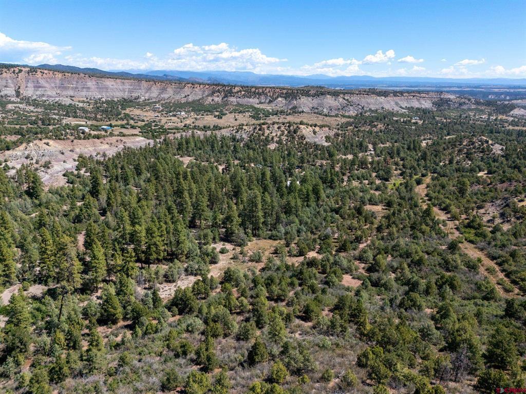 Tbd Budd Road Property Photo 8