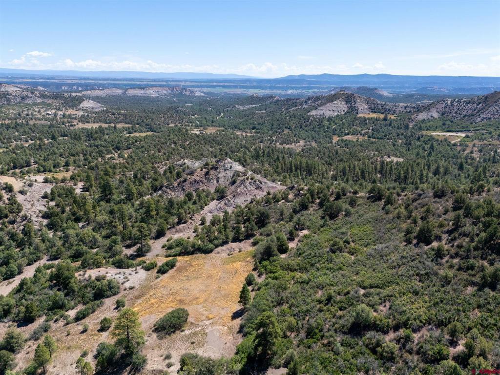 Tbd Budd Road Property Photo 10