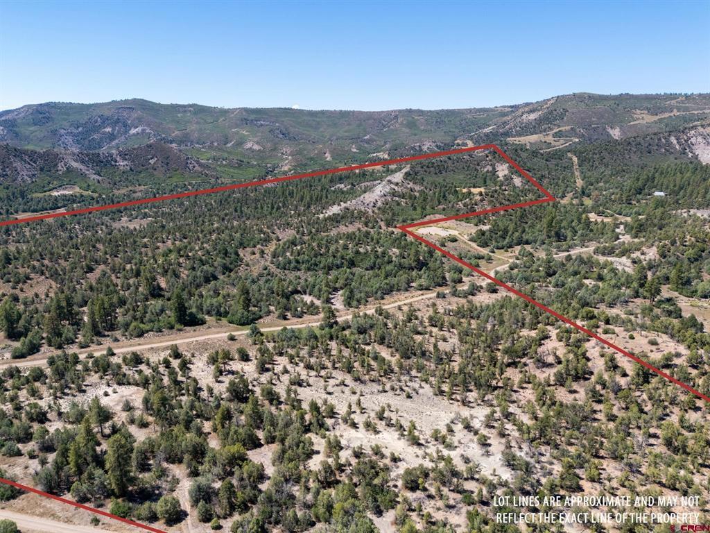 Tbd Budd Road Property Photo 13