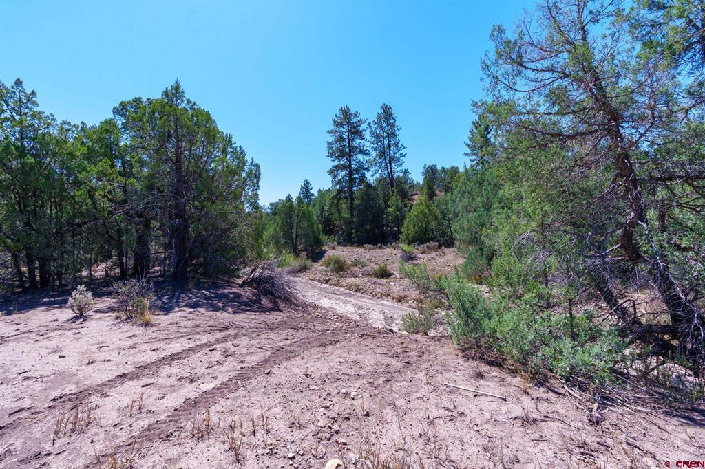 Tbd Budd Road Property Photo 14