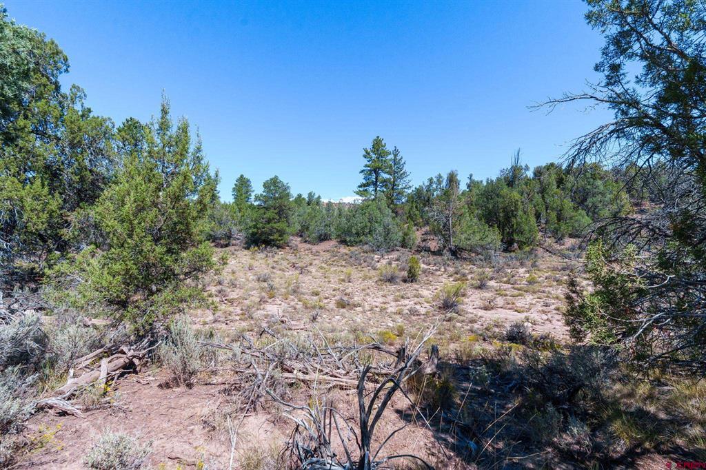 Tbd Budd Road Property Photo 15