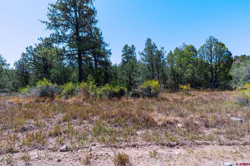 Tbd Budd Road Property Photo 16
