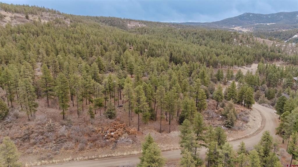 199 Starling Circle Property Photo 2