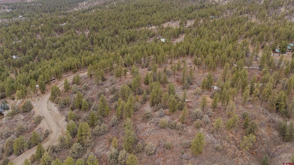 199 Starling Circle Property Photo 5