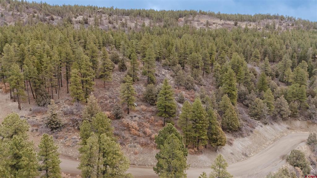 199 Starling Circle Property Photo 6