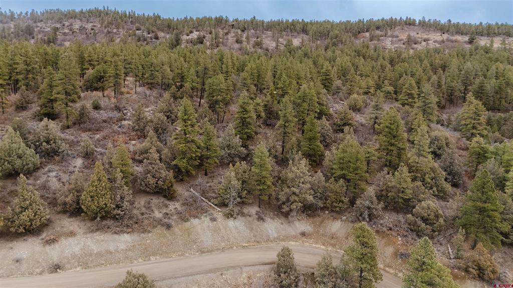 199 Starling Circle Property Photo 16