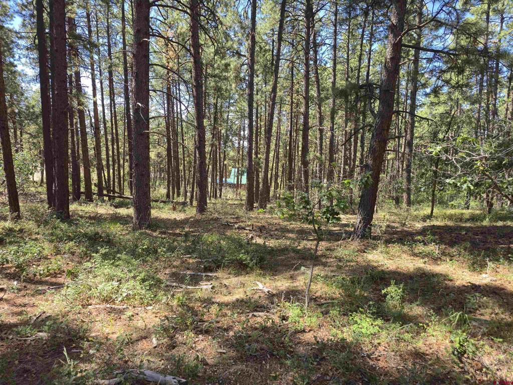 256 And 194 Blue Ridge Drive Property Photo 1