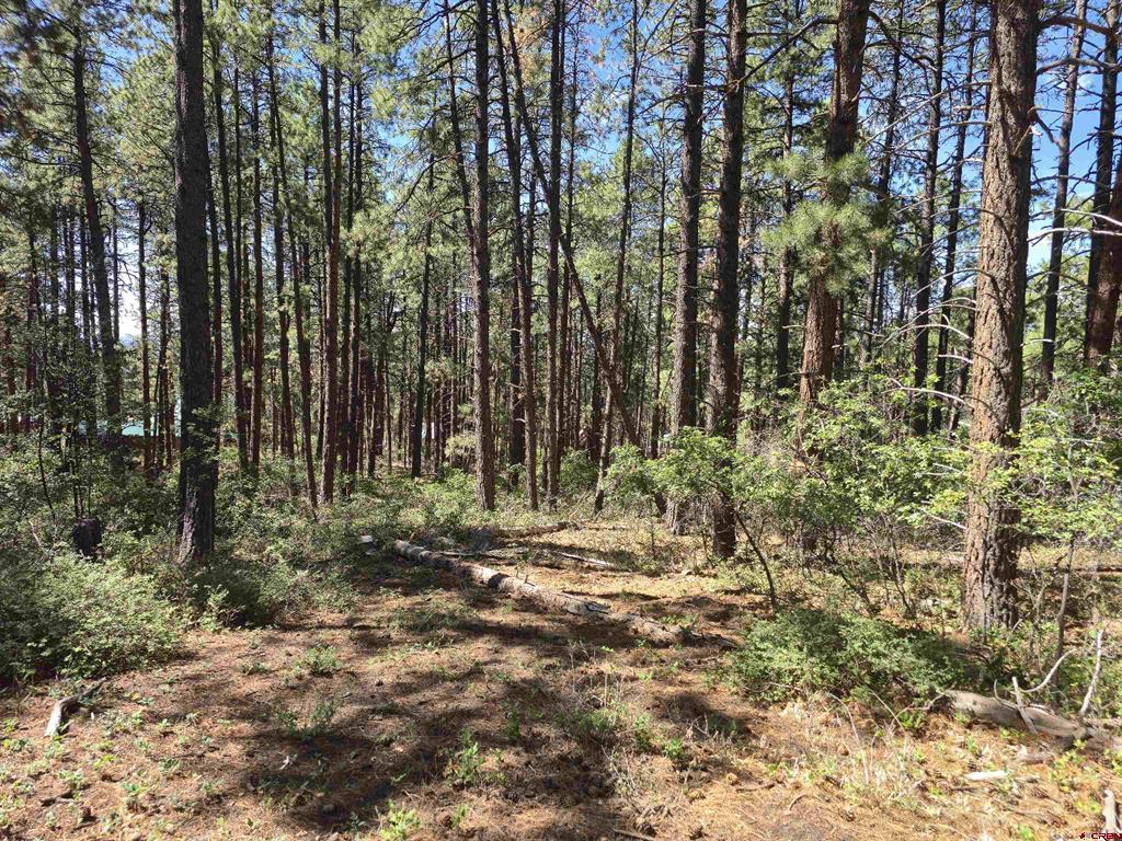 256 And 194 Blue Ridge Drive Property Photo 3