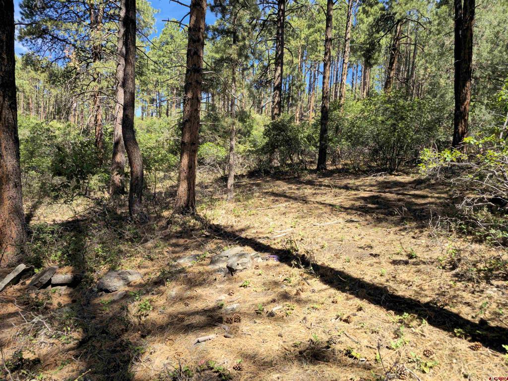 256 And 194 Blue Ridge Drive Property Photo 4