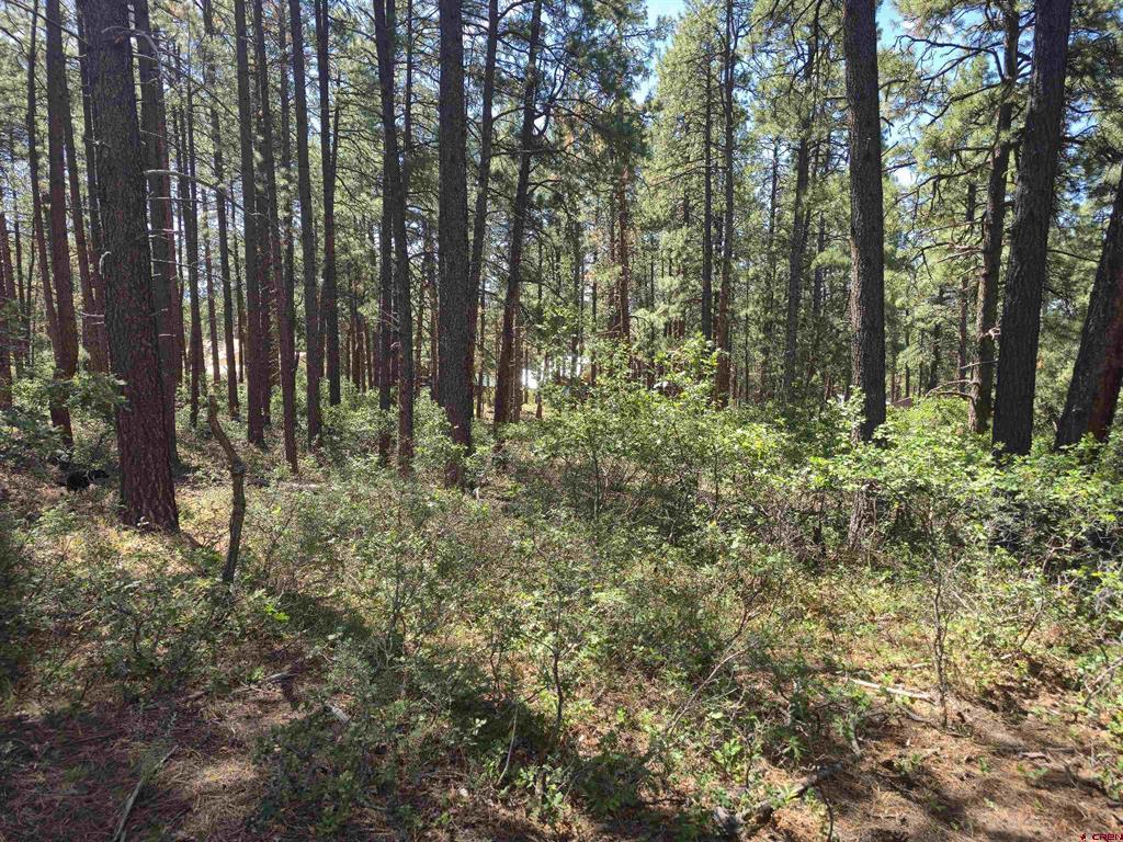 256 And 194 Blue Ridge Drive Property Photo 5