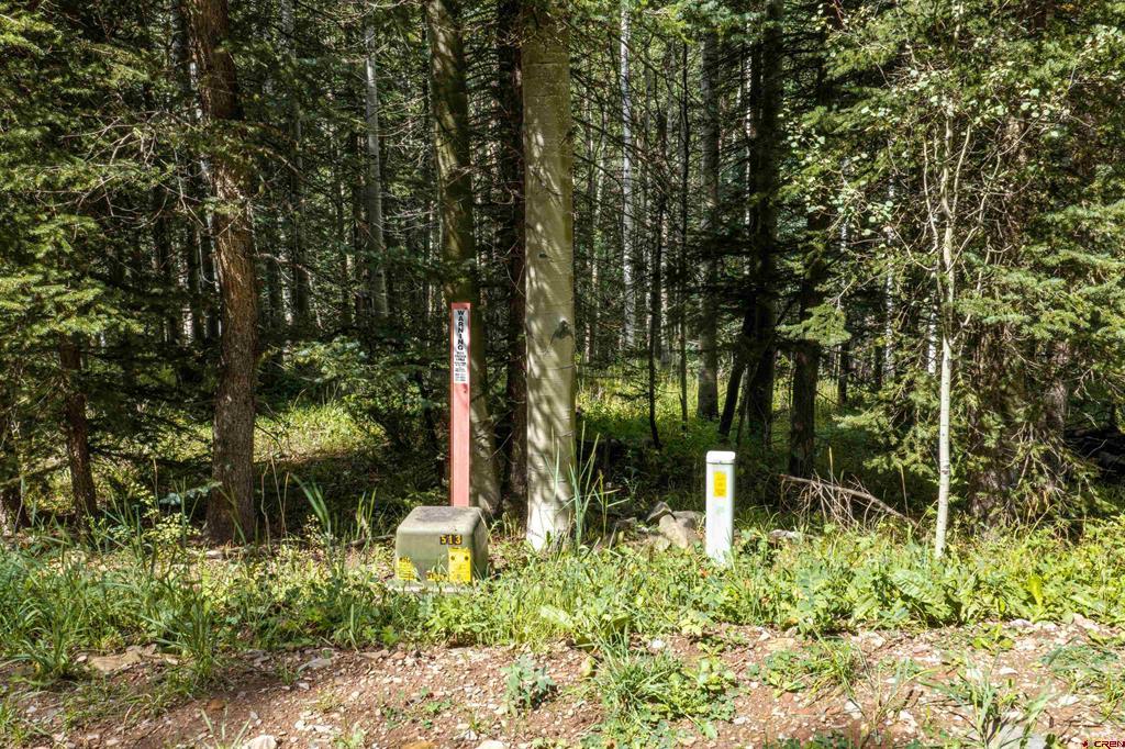 Tbd Road 55.9 Lot 3 Property Photo 3