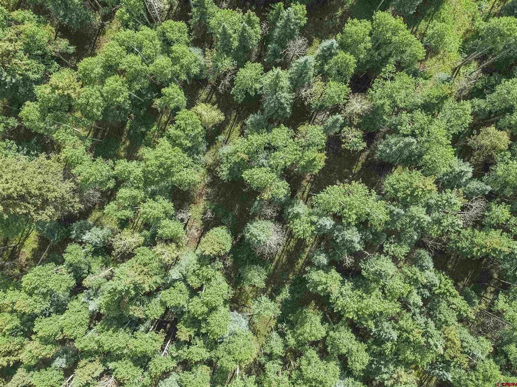 Tbd Road 55.9 Lot 3 Property Photo 6