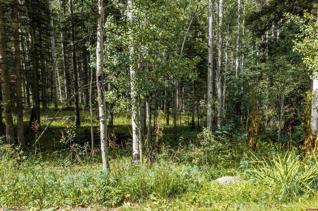 Tbd Road 55.9 Lot 3 Property Photo 7